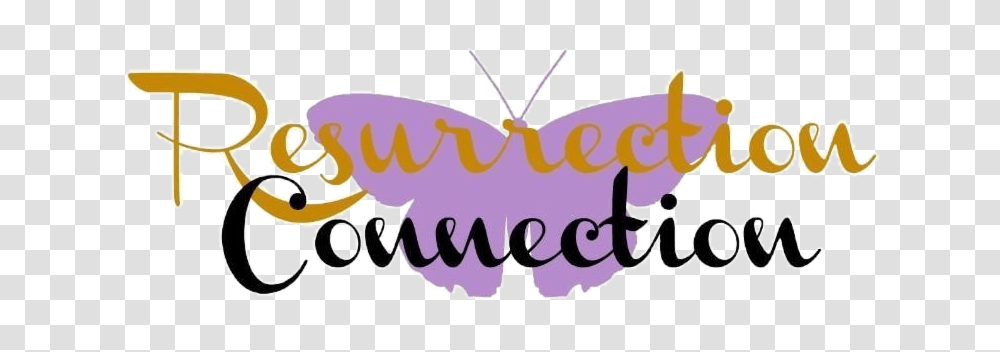 Resurrection Connection, Label, Sticker, Invertebrate Transparent Png