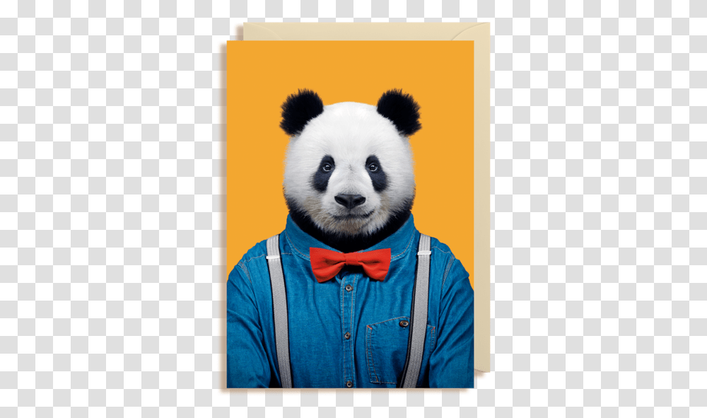 Retratos De Animales Vestidos, Giant Panda, Bear, Wildlife, Mammal Transparent Png