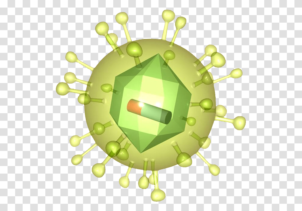 Retrovirus Circle, Green, Flare, Light, Anther Transparent Png