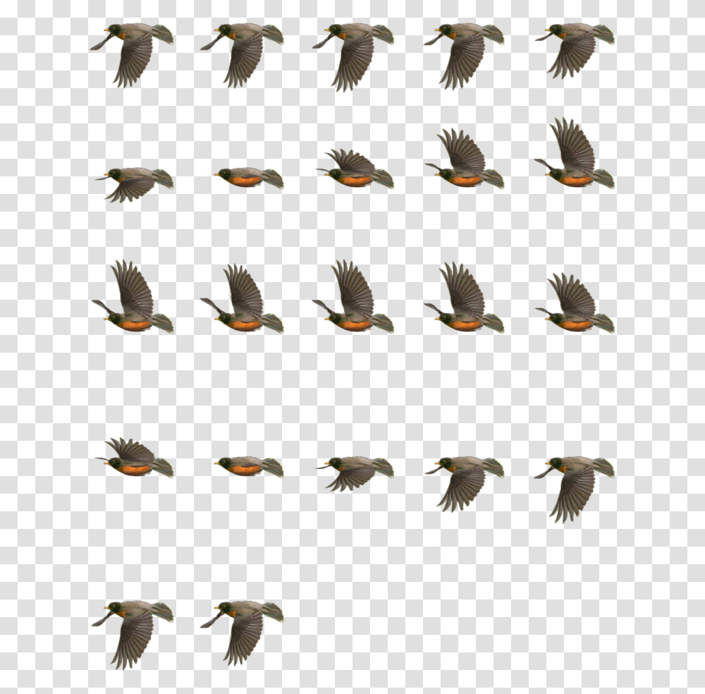 Return Of The Animated Gif 2d Bird Flying Animation, Animal, Fish, Flock, Finch Transparent Png