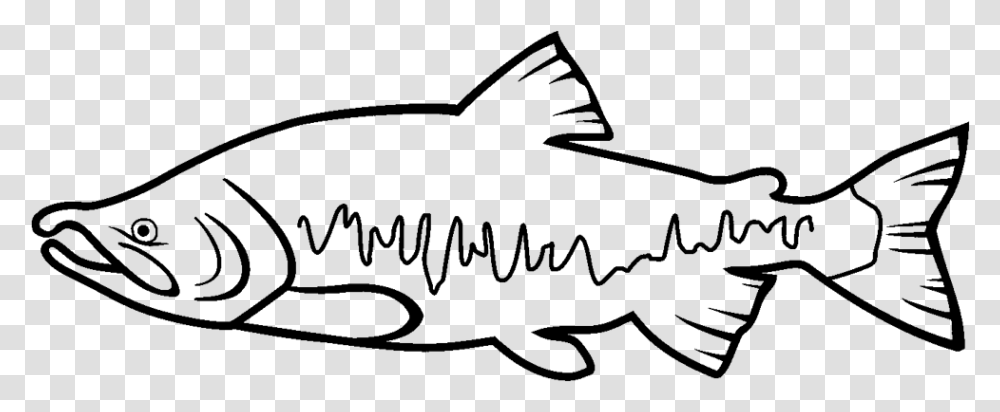 Return To Elwha Salmon Clipart Black And White, Gray, World Of Warcraft Transparent Png