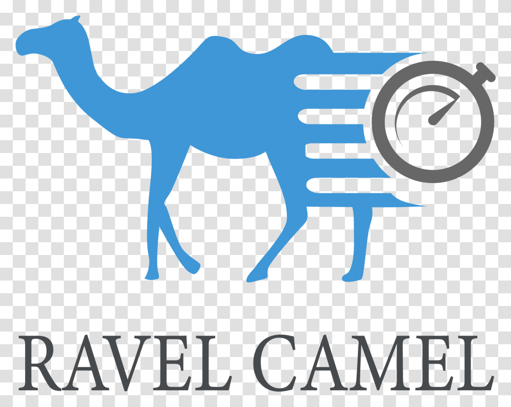 Reusable Magical Nano Tape Arabian Camel, Poster, Advertisement, Mammal, Animal Transparent Png