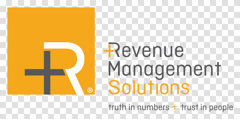 Revenue Management Solutions Tampa Fl Price Optimization Revenue Management System Tampa, Text, Symbol, Alphabet, Logo Transparent Png