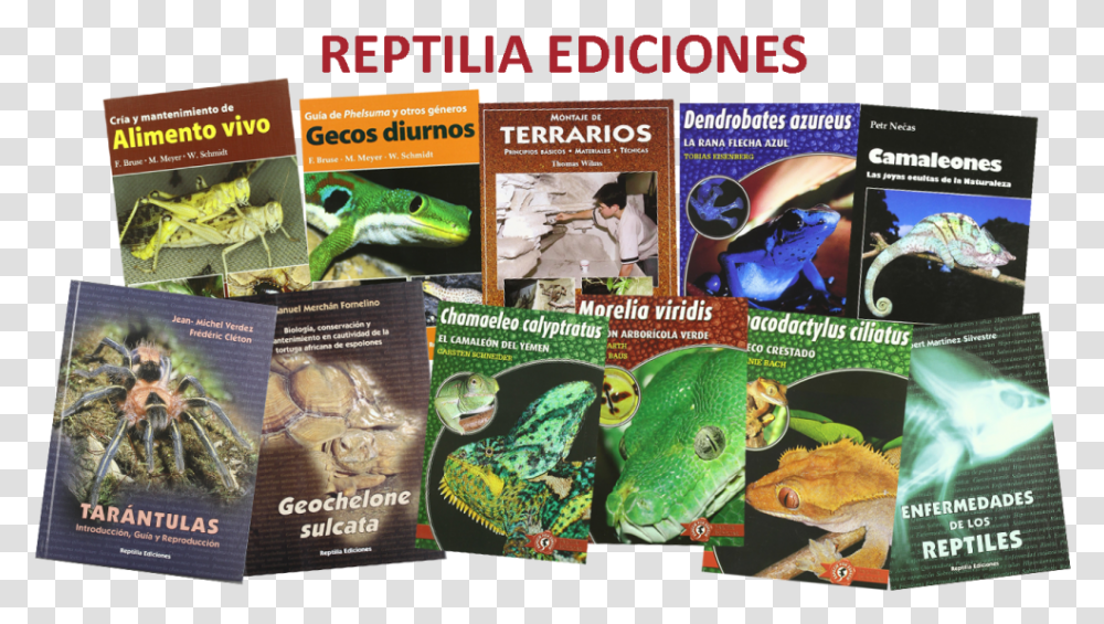 Revistas De Reptiles, Book, Advertisement, Poster, Flyer Transparent Png
