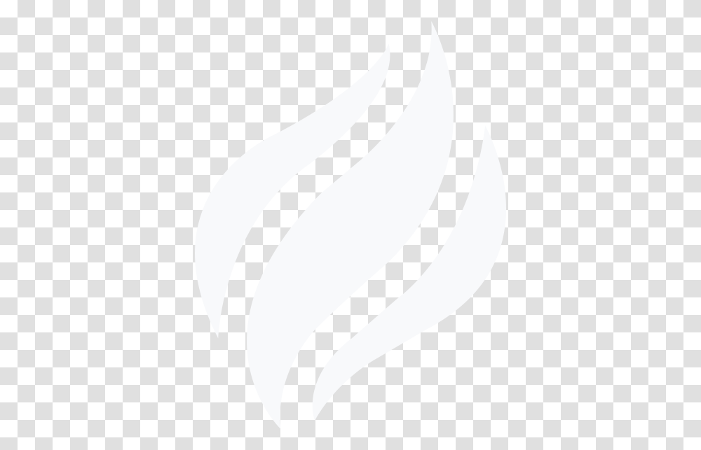 Reviveminnesota, White, Texture, White Board Transparent Png