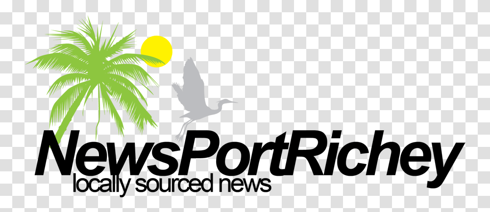 Reward Npr Police Seek Winn Dixie Purse Snatcher Palm Tree, Waterfowl, Bird, Animal, Heron Transparent Png
