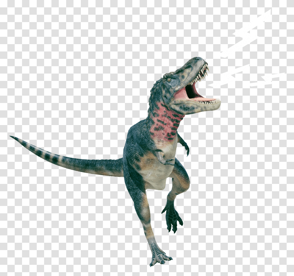 Rex Brllt Animal Figure, Lizard, Reptile, Dinosaur, T-Rex Transparent Png