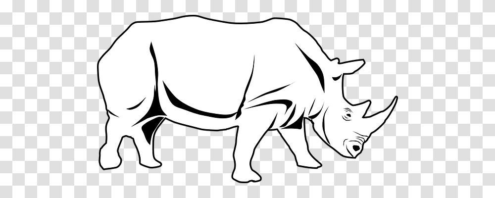 Rhino Animals, Mammal, Wildlife, Aardvark Transparent Png