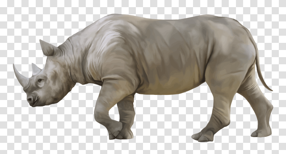 Rhino, Animals, Mammal, Wildlife, Pig Transparent Png