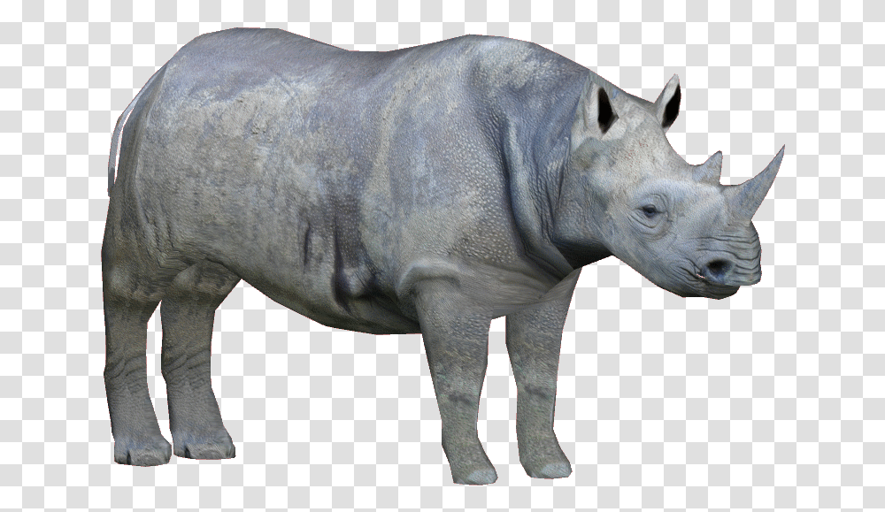 Rhino Background, Wildlife, Mammal, Animal, Elephant Transparent Png