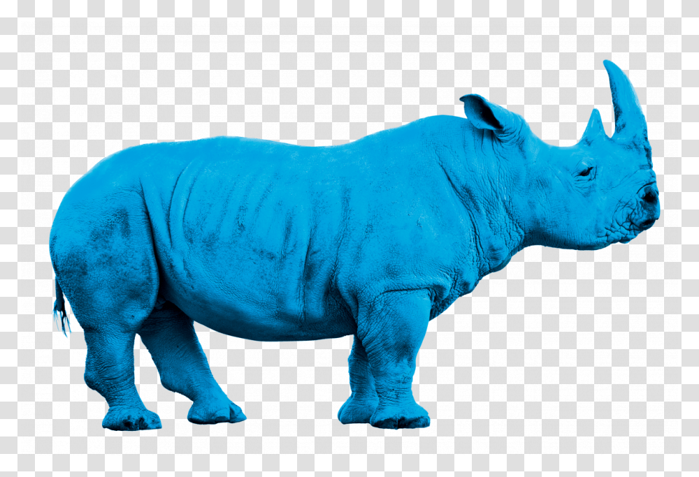 Rhino Bleu, Wildlife, Mammal, Animal Transparent Png