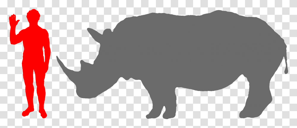 Rhino Clipart Big 5 Moeritherium, Person, Human, Hog, Pig Transparent Png