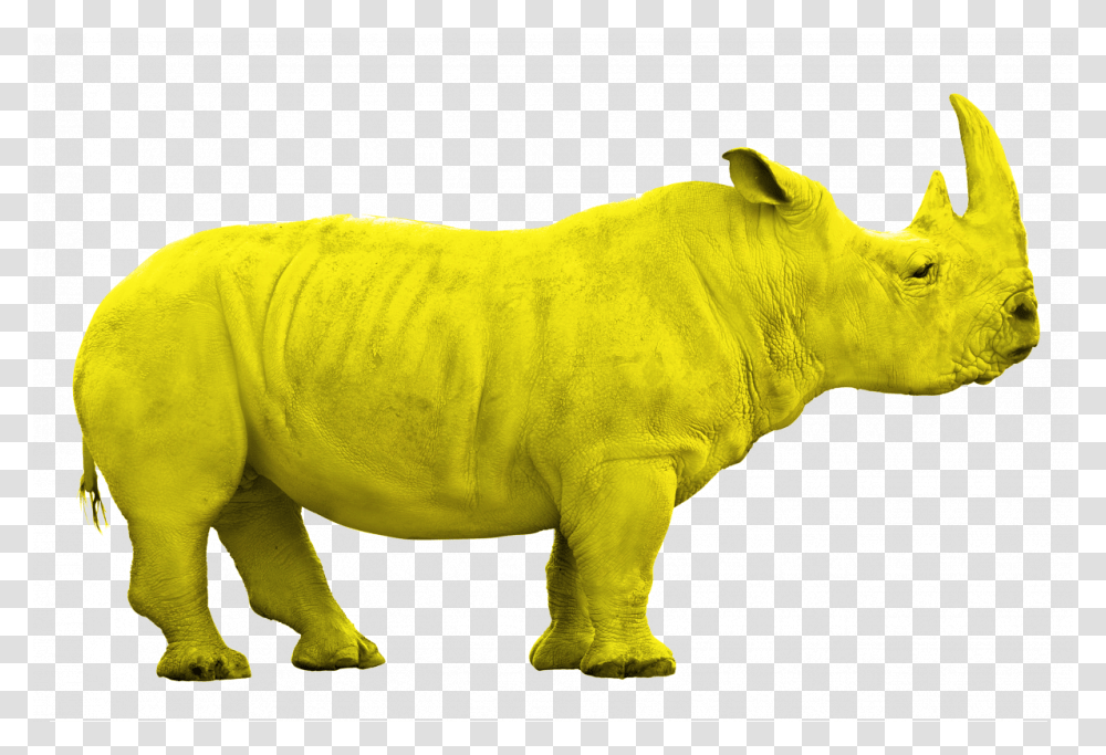 Rhino Jaune, Wildlife, Mammal, Animal, Dinosaur Transparent Png