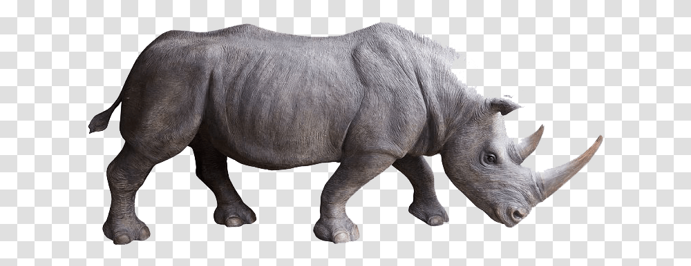 Rhino Photo Background Rhino Side View, Wildlife, Mammal, Animal, Elephant Transparent Png