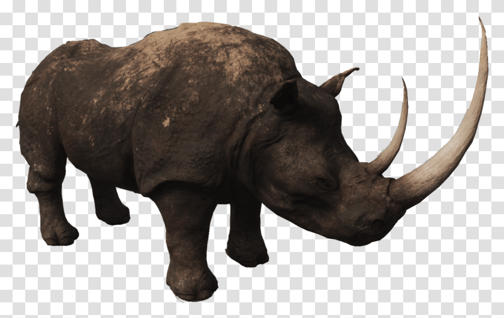 Rhino Photos Rhinoceros, Wildlife, Mammal, Animal, Elephant Transparent Png