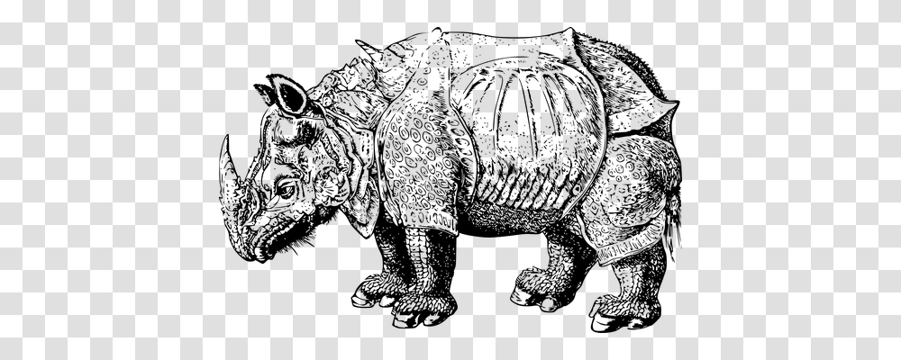 Rhinoceros Animals, Gray, World Of Warcraft Transparent Png