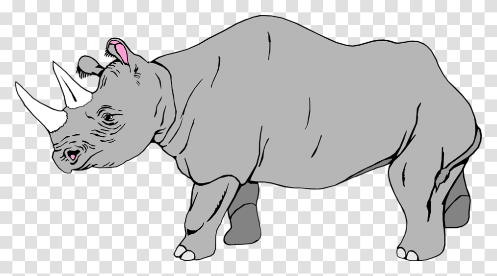 Rhinoceros Background Rhino Clipart, Mammal, Animal, Wildlife, Hippo Transparent Png