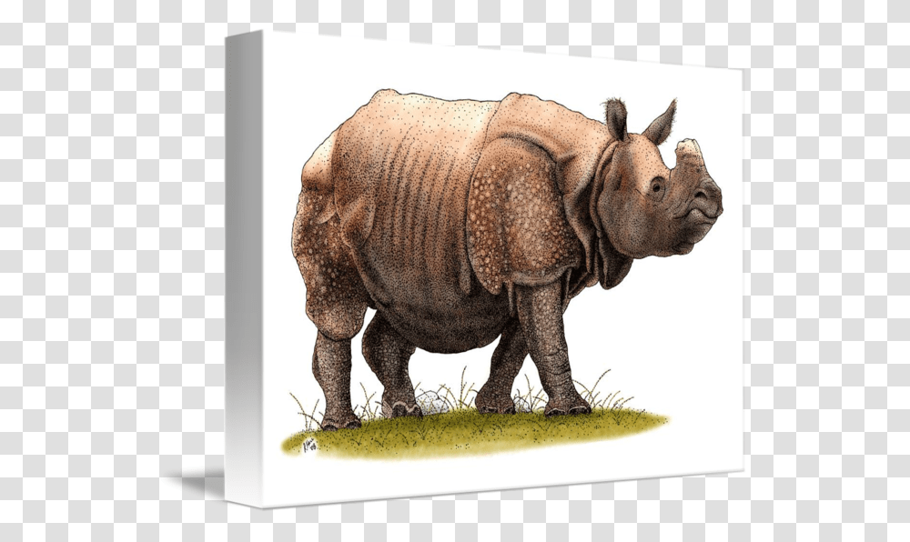 Rhinoceros Clipart Indian Rhinoceros, Elephant, Wildlife, Mammal, Animal Transparent Png