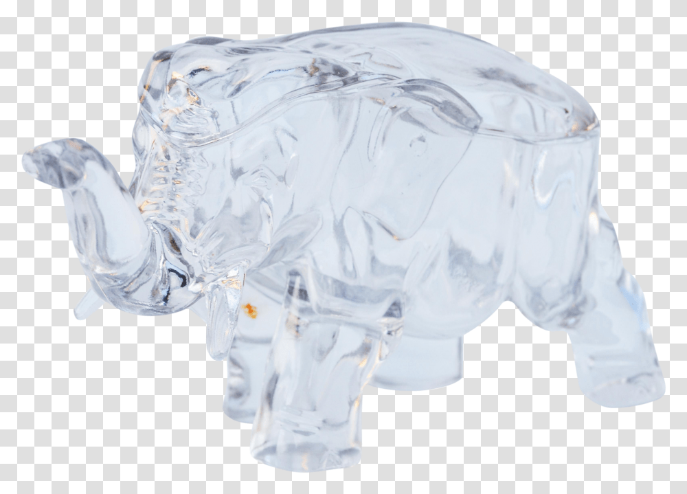 Rhinoceros, Diaper, Nature, Outdoors, Ice Transparent Png