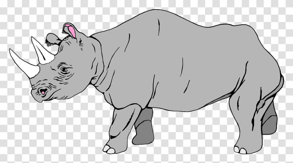 Rhinoceros Image Background Rhino Clip Art, Mammal, Animal, Wildlife, Cow Transparent Png