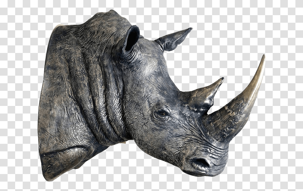 Rhinoceros Images White Rhino Head Sculpture, Wildlife, Mammal, Animal, Antelope Transparent Png