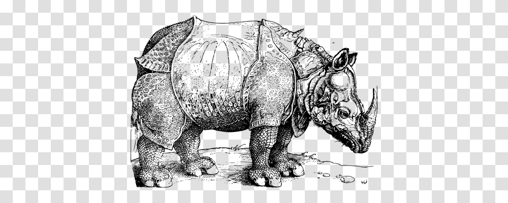 Rhinoceros Of Durer Gray, World Of Warcraft Transparent Png