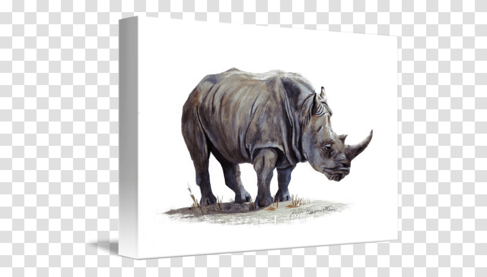 Rhinoceros Painting, Wildlife, Animal, Mammal, Horse Transparent Png