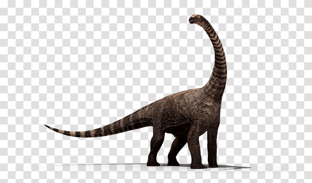 Rhohetosaurus, Fantasy, Dinosaur, Reptile, Animal Transparent Png