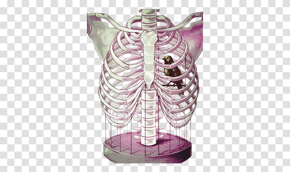 Rib Cage Bird Image With Bird In Rib Cage, Skeleton, Jaw, Purple Transparent Png