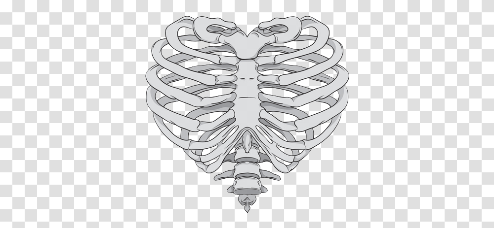 Rib Cage Heart Human Skeleton Anatomy Skeleton Hand Heart Shaped Rib Cage, Steamer Transparent Png