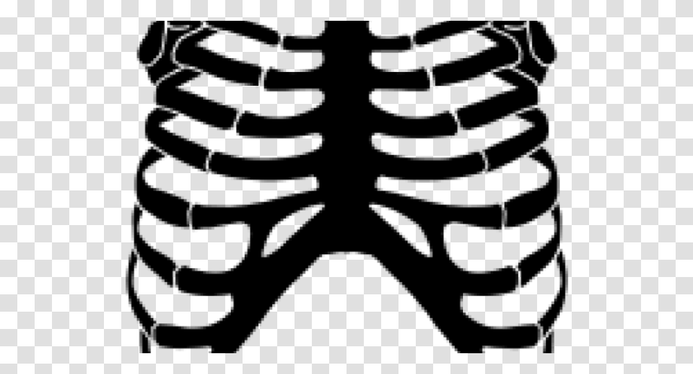 Rib Cage Images Skeleton Rib Cage Clipart, Gray, World Of Warcraft Transparent Png