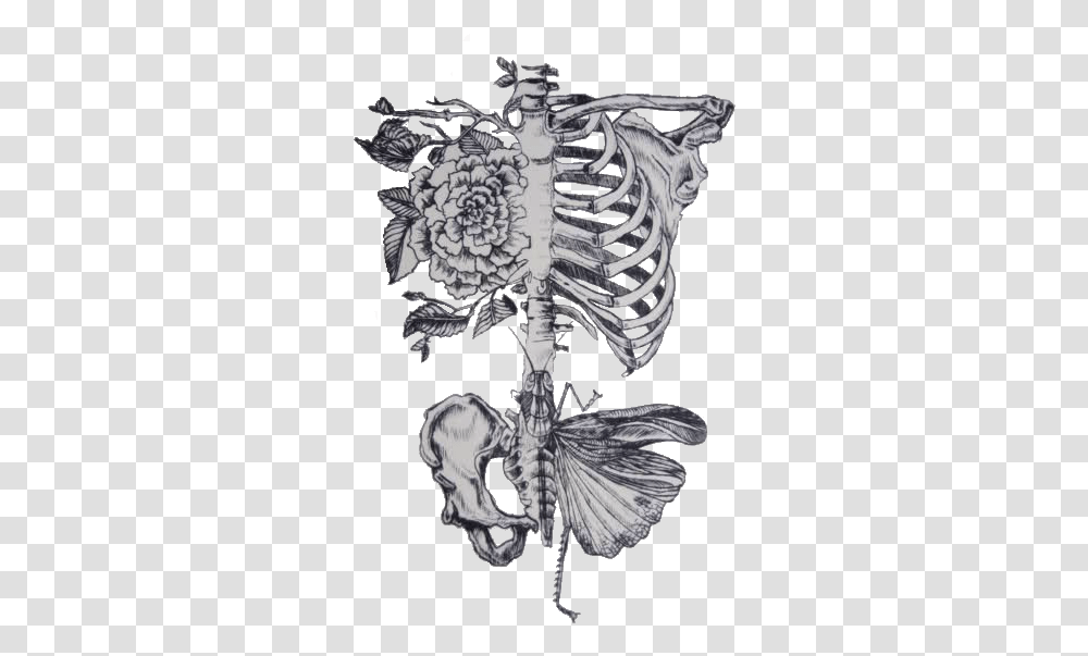 Rib Roses Butterfly Pelvis Dont Need No Butterflies When You Give Me The Whole, Skeleton, Cross, Torso Transparent Png
