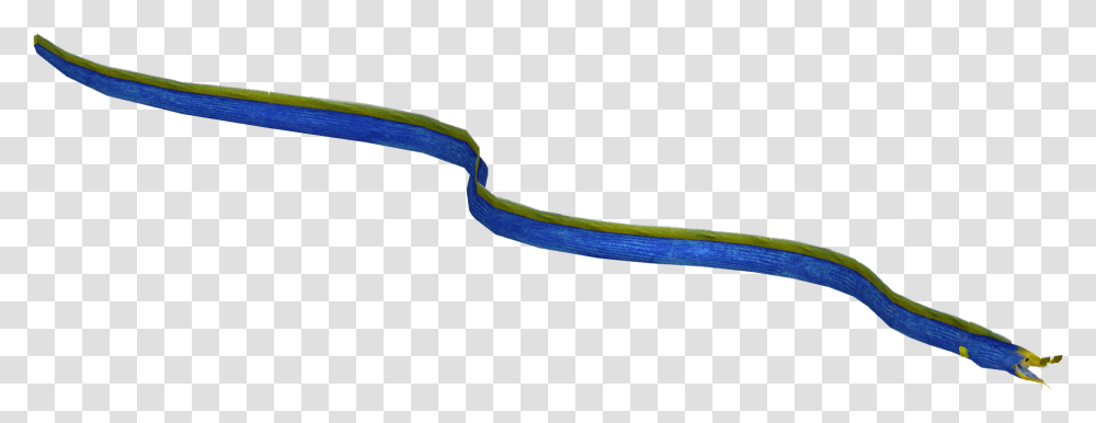 Ribbon Eel Vertical, Hose, Water, Scissors, Blade Transparent Png