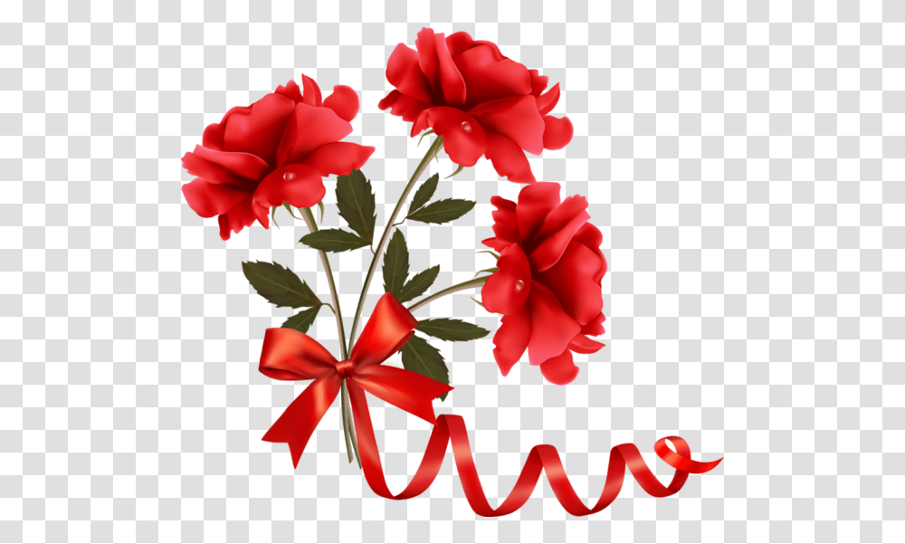 Ribbon With Flower Design, Plant, Blossom, Carnation, Geranium Transparent Png