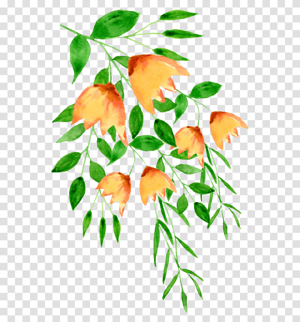 Riberry, Leaf, Plant, Flower, Blossom Transparent Png