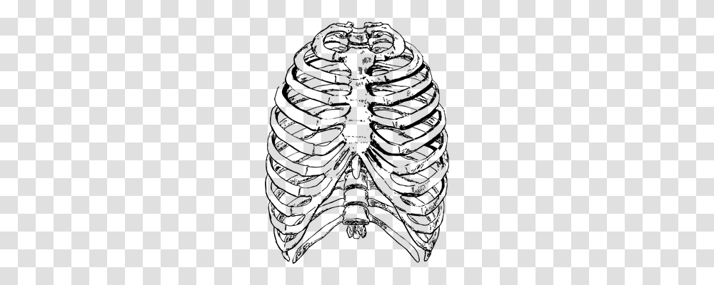 Ribs Front Technology, Gray, World Of Warcraft Transparent Png