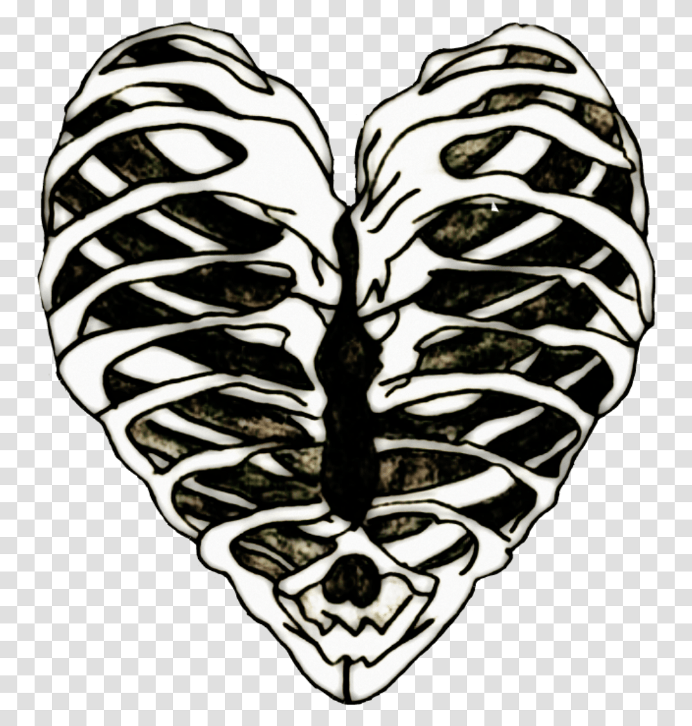 Ribs Ribcage Heart Bones Art Stickers Ribcage Heart, Plant, Flower, Food, Tattoo Transparent Png