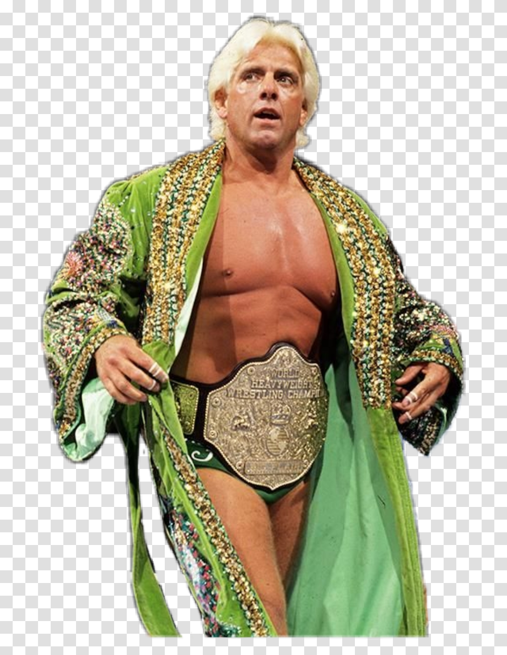 Ric Flair World Heavyweight Champion, Person, Crowd, Man Transparent Png