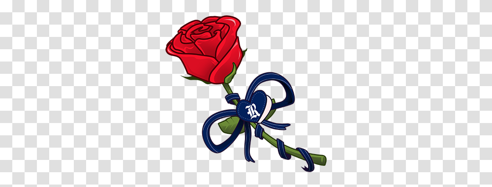 Rice Athletics Garden Roses, Flower, Plant, Blossom, Scissors Transparent Png