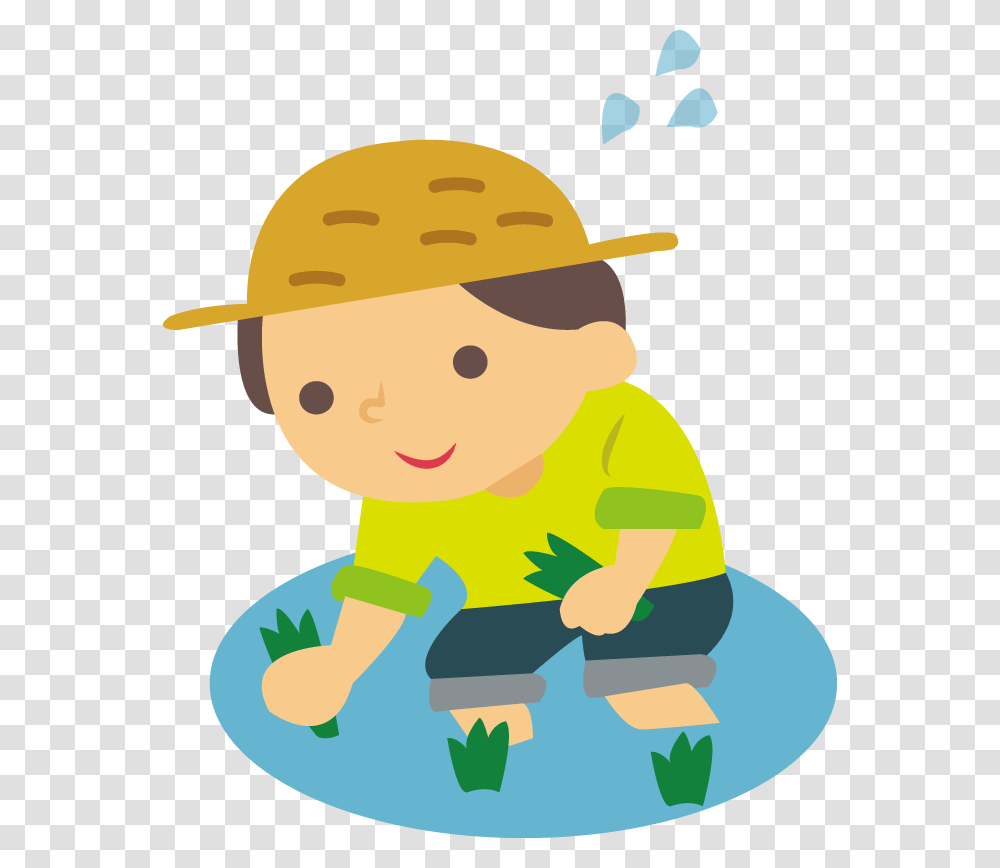 Rice Can Also Be Grown In A Bucket Or Planter At Home Planting Rice Clipart, Baby, Apparel, Crawling Transparent Png