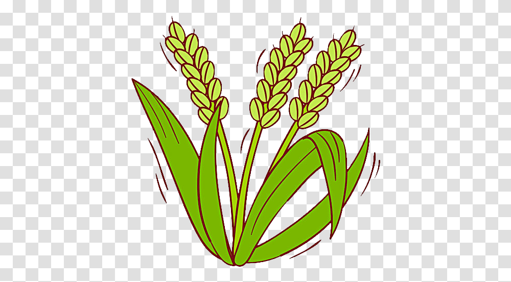 Rice Clipart Rice Grass Rice Plant Clip Art, Flower, Blossom, Vegetation Transparent Png