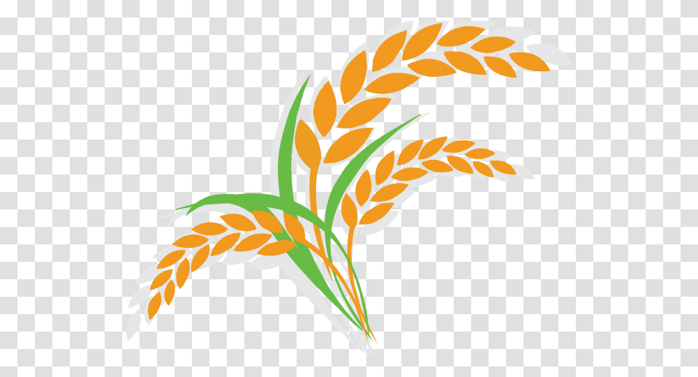 Rice Clipart Rice Plant Clipart, Vegetable, Food, Wheat, Produce Transparent Png