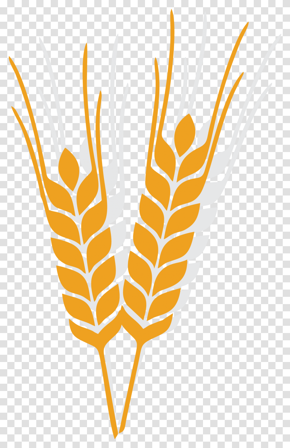 Rice Clipart Yellow Rice Rice Ears Clipart, Plant, Wheat, Vegetable, Food Transparent Png