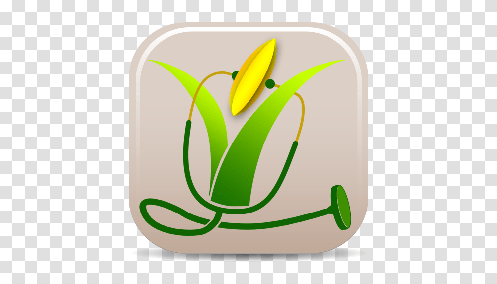 Rice Doctor, Plant, Logo Transparent Png