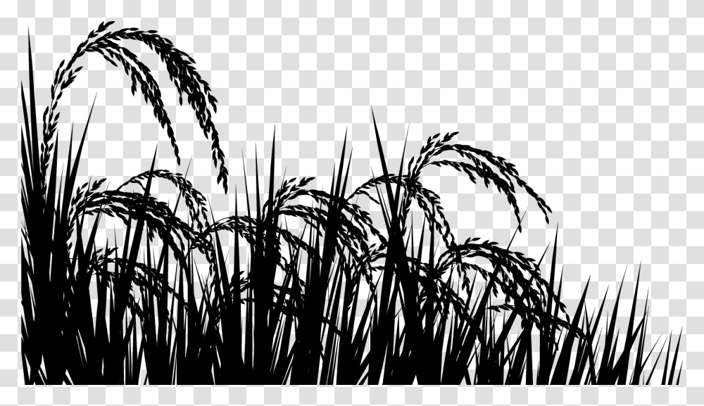 Rice Field Black And White, Grass, Plant, Lawn, Reed Transparent Png