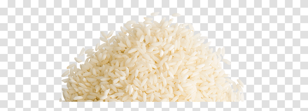 Rice, Food, Plant, Vegetable, Rug Transparent Png