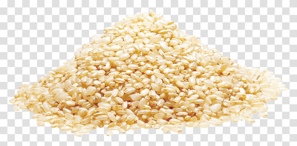 Rice, Food, Sesame, Seasoning, Plant Transparent Png