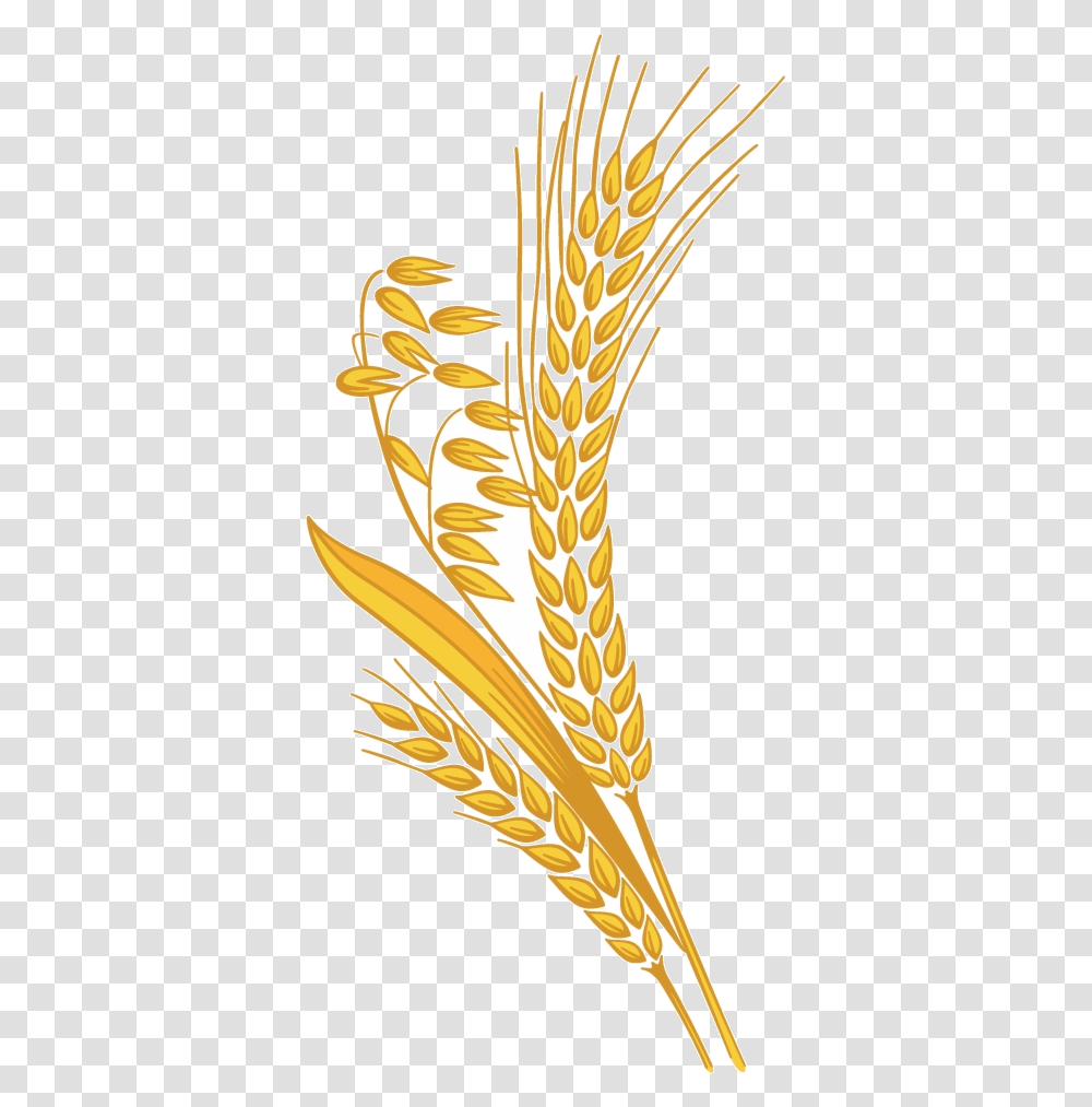 Rice Grain Clipart Background Wheat Clipart, Plant, Vegetable, Food, Produce Transparent Png