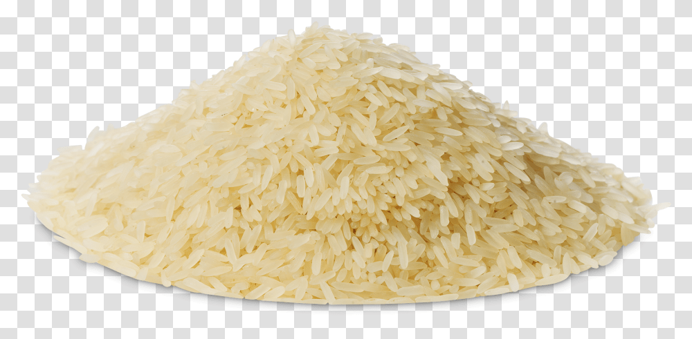 Rice Image Background, Plant, Vegetable, Food, Fungus Transparent Png