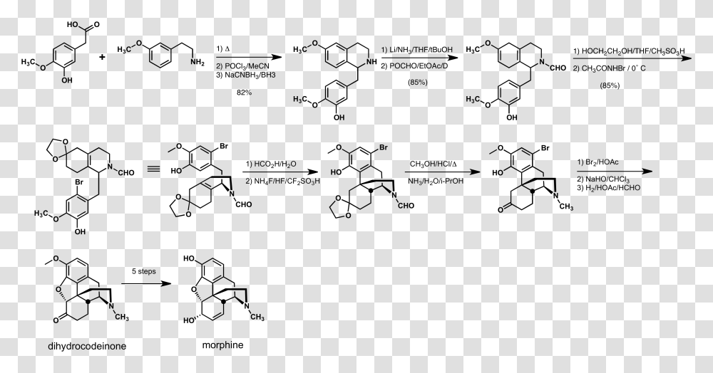 Rice Morphine Synthesis Chemical Synthesis Of Morphine, Gray, World Of Warcraft Transparent Png